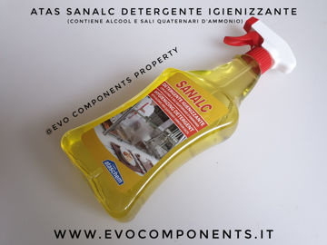 Detergente per tappeti e moquettes Atas Detap