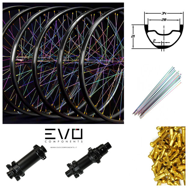 Immagine di RUOTE BARON XR28 MOZZI BARON SP 6 FORI RAGGI PILLAR RAINBOW